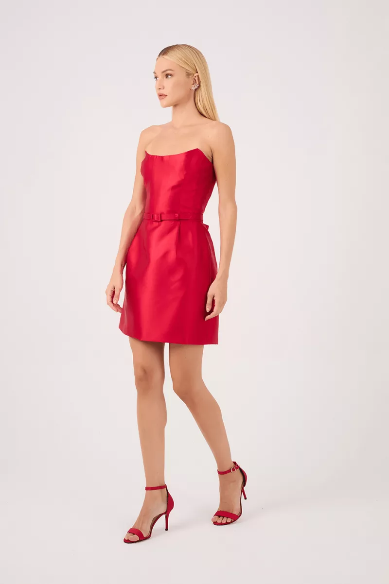 Tulipa - Imagen 6
