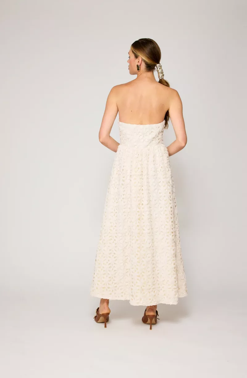 Aris maxi - Imagen 2