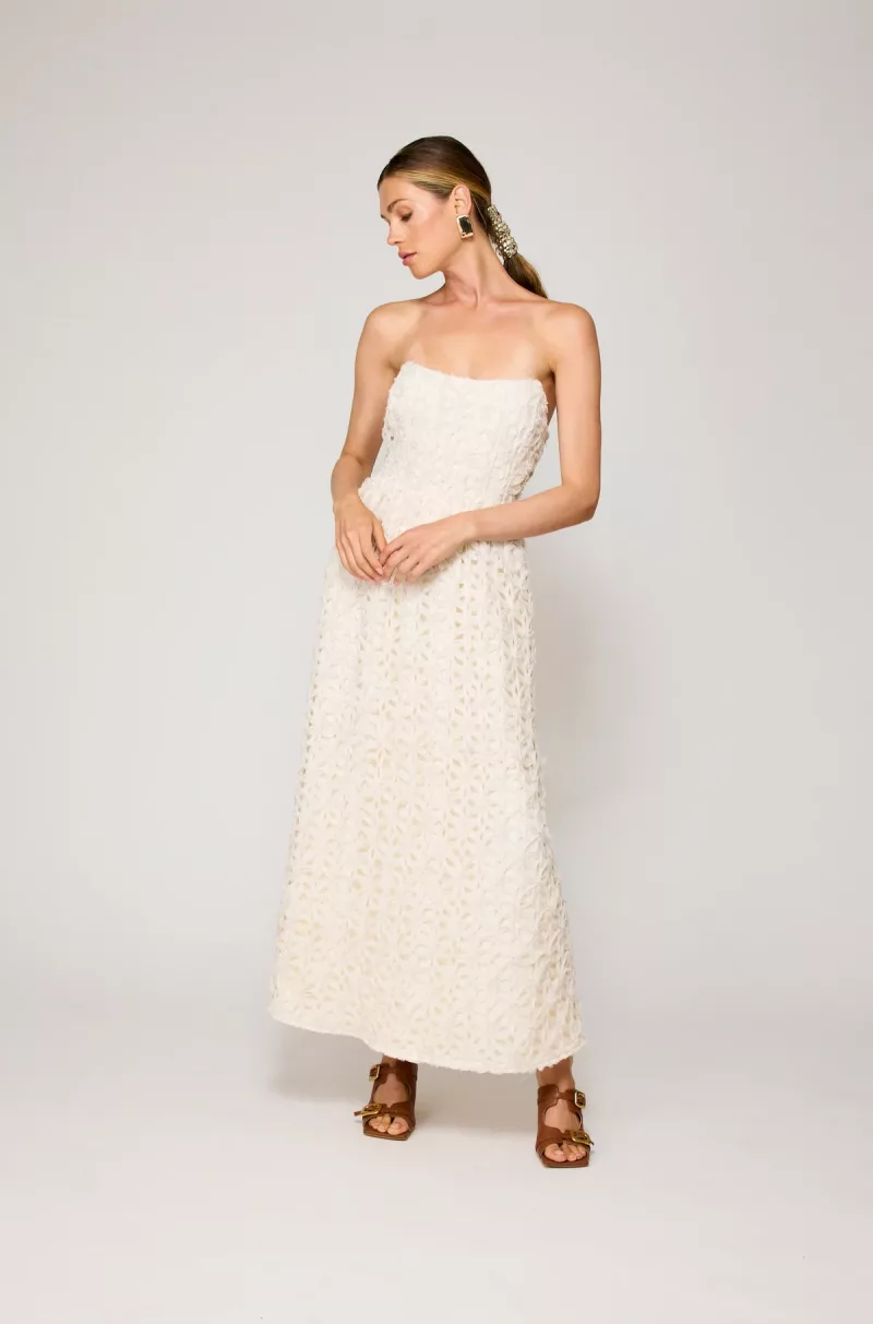 Aris maxi - Imagen 5