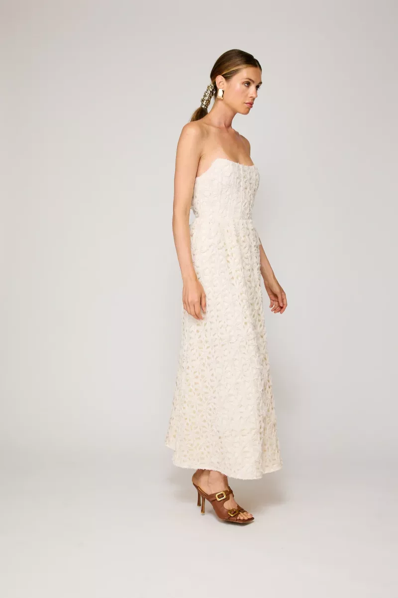 Aris maxi - Imagen 3
