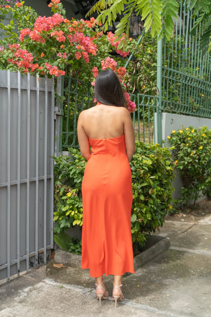 Dalisay - Imagen 5