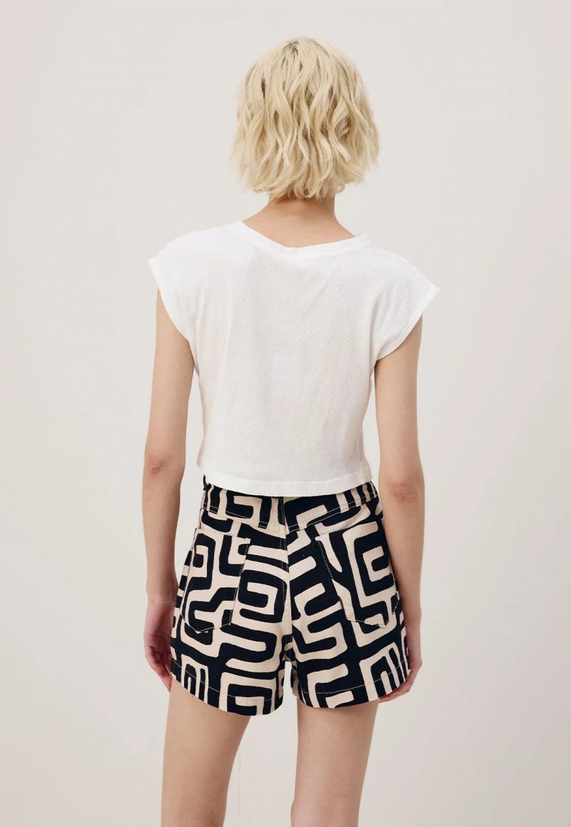 Zebra - Imagen 3