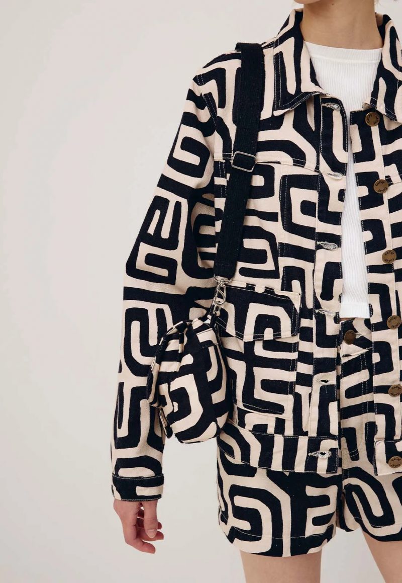 Zebra - Imagen 2